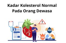 Kadar Kolesterol Normal Pada Orang Dewasa