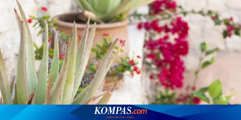 Ini Dia Rahasia Keindahan Taman Yunani