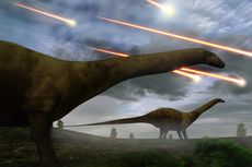 Asteroid Pembunuh Dinosaurus Ciptakan Tsunami Setinggi 1,5 Kilometer