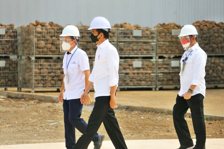 Presiden Republik Indonesia (RI) Joko Widodo (Jokowi) dan Menteri Pertanian (Mentan) Syahrul Yasin Limpo (SYL) saat mengunjungi pabrik pengolahan tanaman umbi-umbian porang, PT Asian Prima Konjac, di Kota Madiun, Jawa Timur (Jatim), Kamis (19/8/2021).