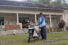 Puskesmas Pembantu di Kulon Progo Bertahun-tahun Jadi Sarang Kelelawar, Petani Manfaatkan Kotorannya untuk Pupuk Hortikultura