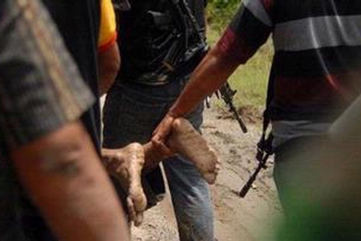 Polisi mengangkut jenazah  salah satu tersangka yang tewas dalam baku tembak di  perkebunan kelapa sawit Dusun III Pondok Sebrang, Desa Martebing, Kecamatan DOlok Masihul, Serdang Bedagai, Sumut Minggu (3/10/2010).