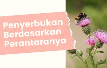 Penyerbukan Berdasarkan Perantaranya