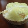Durian Gundul dari Lombok, Sempat Dikira Beracun