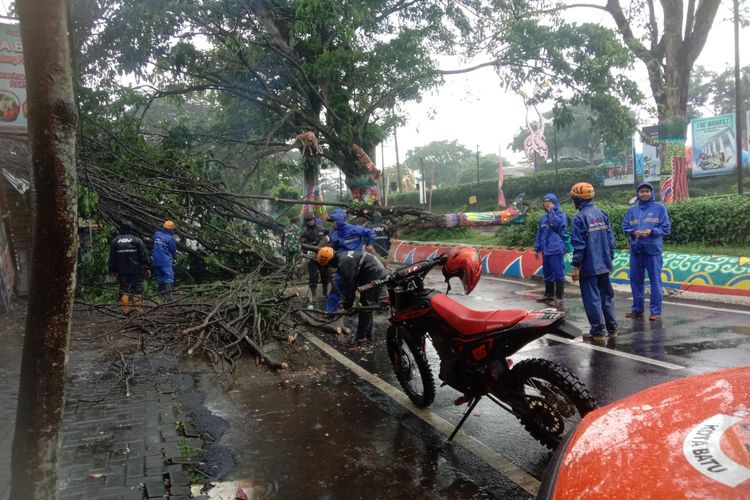 Penanganan pohon tumbang di depan tempat wisata Jawa Timur Park 2, Jalan Raya Oro-Oro Ombo, Kota Batu pada Selasa (8/11/2022).