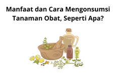 Manfaat dan Cara Mengonsumsi Tanaman Obat, Seperti Apa?