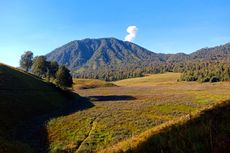 Gunung Semeru Kebakaran, Padahal Jalur Pendakian Masih Ditutup