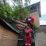 Pohon Setinggi 10 Meter Tumbang dan Timpa Rumah Warga di Jakarta Timur
