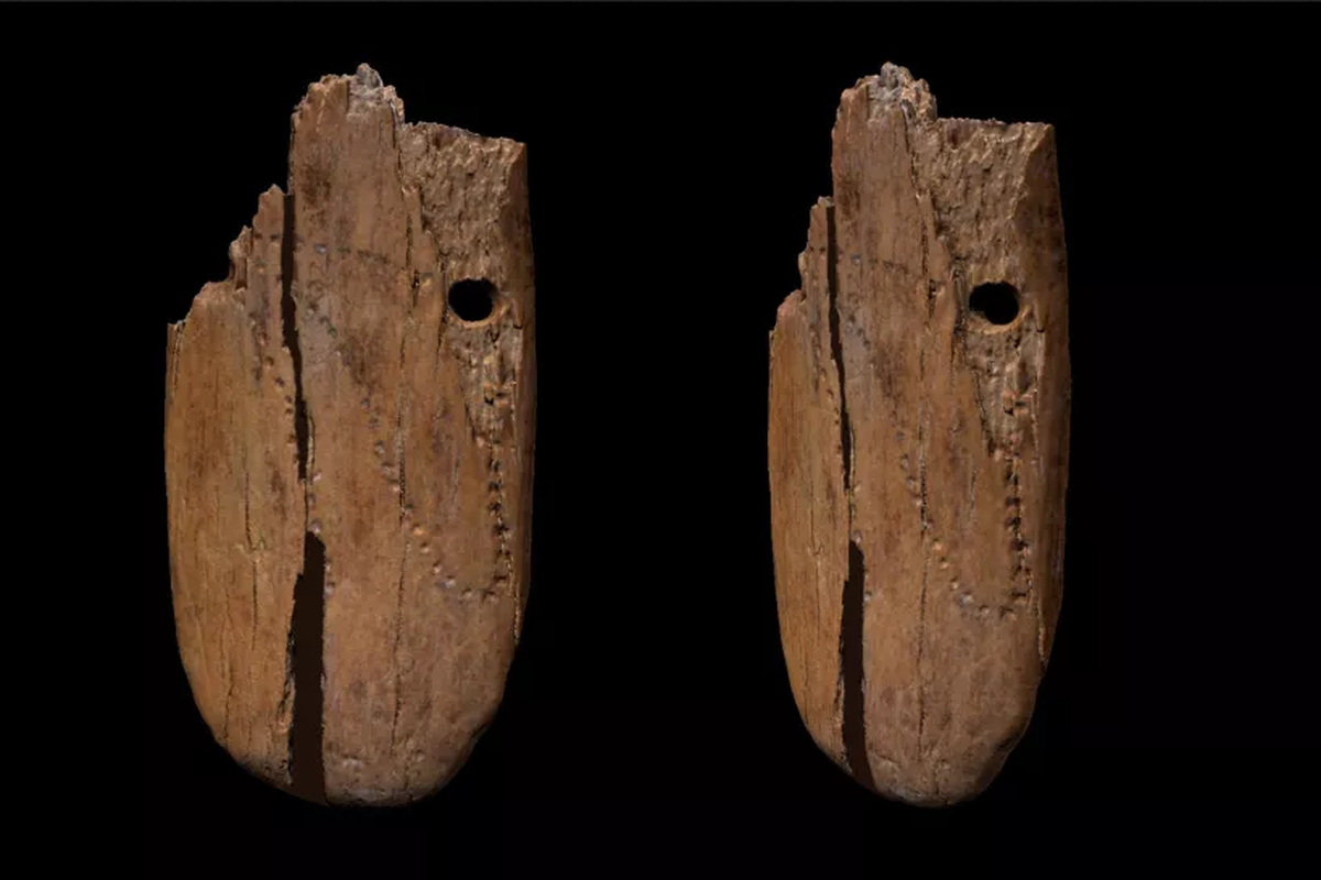 Liontin yang terbuat dari gading mammoth ditemukan di Gua Stajnia, Polandia 