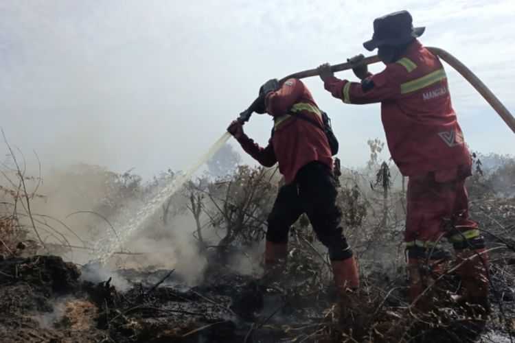 Karhutla Membara di Rokan Hilir Riau, Sudah 70 Hektar Lahan Gambut Terbakar