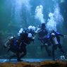 Harga Tiket Fun Diving di Sea World Ancol