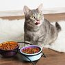 Penelitian Buktikan Kucing Suka Makanan 