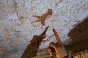 Lukisan Tertua di Dunia Berusia 67.800 Tahun Ditemukan di Muna Sulawesi Tenggara