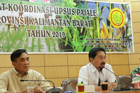 Kementan: Optimalisasi Irigasi akan Bawa Indonesia Jadi Lumpung Pangan Dunia