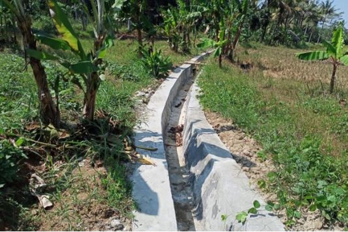 Pengerjaan program Rehabilitasi Jaringan Irigasi Tersier (RJIT) di Desa Parung Panjang ditargetkan mengairi lahan seluas 90 hektar (ha) di Desa Parung Panjang, Kecamatan Wanasalam, Kabupaten Lebak, Banten.