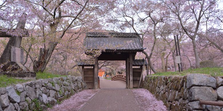 Taman Takatojoshi Koen di daerah Shinshu, Prefektur Nagano, Jepang, merupakan sebuah taman yang terkenal sebagai tempat melihat bunga sakura. Setiap tahun, sekitar 200.000 wisman datang ke taman ini.