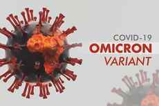 Fakta-fakta Delmicron, Gabungan Antara Varian Delta dan Omicron