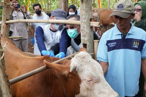 Kasus Antraks di Yogyakarta, Penerapan Zonasi, dan Pembatasan Lalu Lintas Ternak...