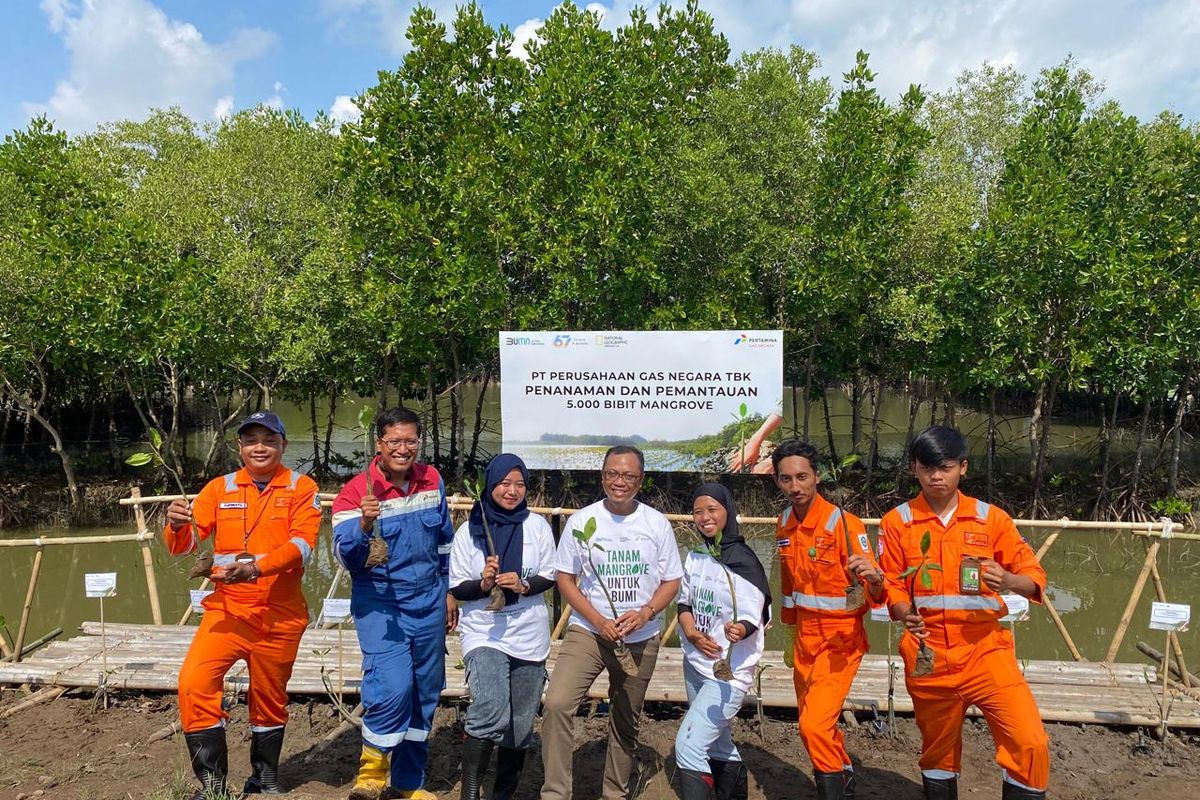 Kurangi Jejak Karbon, PT PGN Tbk Tanam 5.000 Bibit Mangrove di Kawasan Mangkang Wetan Semarang