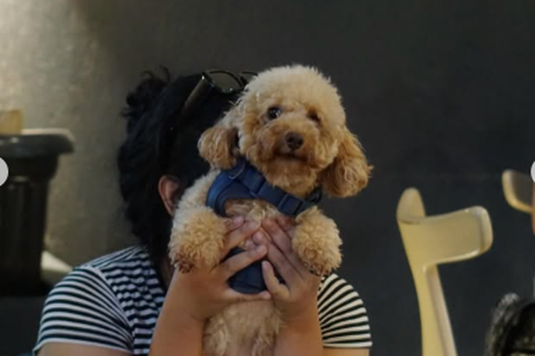 Tangkapan Layar Instagram Tanatap Coffe