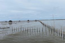 Siapa Pemilik Pagar Laut di Tangerang? KKP Lakukan Penyelidikan demi Ungkap Motif