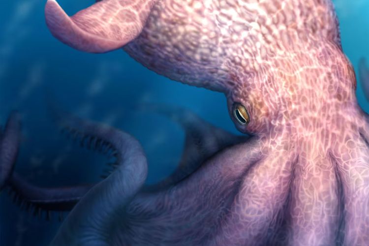 Gurita 19 Meter Pernah Jadi Penguasa Lautan 100 Juta Tahun Lalu, Saingi Keganasan T-Rex
