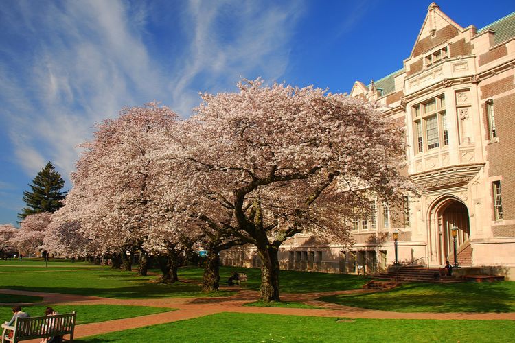 Ilustrasi University of Washington