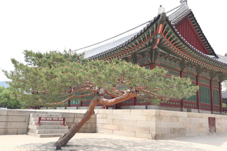 Balai Sujeongjeon, salah satu bangunan yang ada di Istana Gyeongbokgung Korea Selatan.