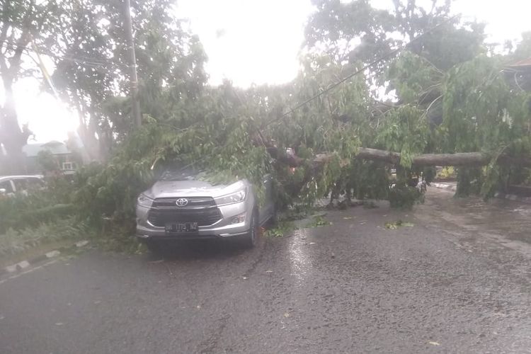 Sebuah mobil yang sedang berjalan ditimpa pohon yang tumbangboleh cuaca ekstrem di Kota Baru, Kota Jambi, pada Rabu (26/8/2020).