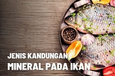 Jenis-jenis Kandungan Mineral Pada Ikan dan Manfaatnya 