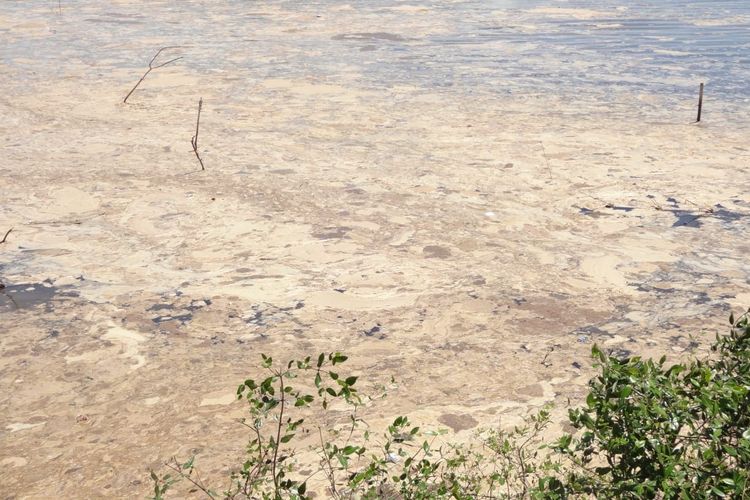 Tampak cairan mirip limbah mengapung di perairan Desa Bajo, Kecamatan Soromandi, Kabupaten Bima, Kamis (8/2/2024).