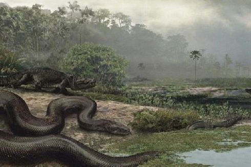 Kenapa Ular Titanoboa Bisa Tumbuh Sangat Besar?