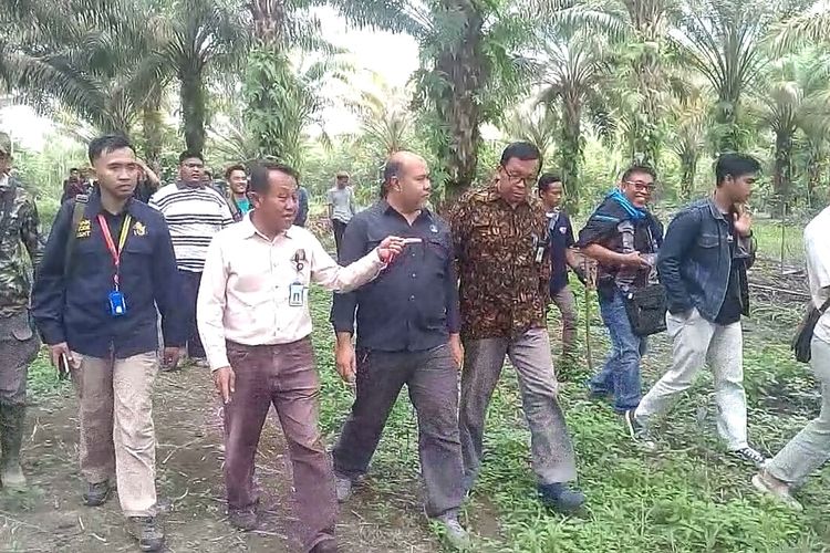 Tim BKSDA Sumsek dipimpin Kasi Konservasi Aziz Abdul Latief memeriksa lokasi arbotreum Unsri lokasi dimana suara auman harimau terdengar oleh seorang mahassiw yang sedang melakukan peneltian.