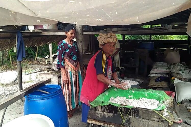 Proses pemerasan kelapa menjadi santan, sebelum diolah menjadi minyak goreng di rumah Sumayati, Desa Sabuai, Kecamatan Kumai, Kabupaten Kotawaringin Barat