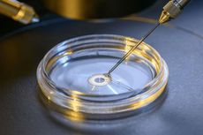 Kali Pertama di Dunia, Operasi Bedah DNA di Embrio Manusia Dilakukan