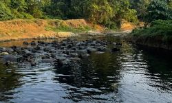 AHY Soroti Pencemaran dan Sedimentasi Sungai, Dorong Pengelolaan Air Terpadu