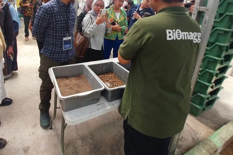 Siswa di Depok Akan Diajarkan Olah Sampah Berbasis Maggot Mulai Tahun Depan