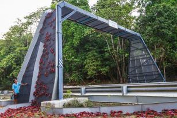 Christmas Island Bangun Jembatan Khusus Buat Kepiting Merah Christmas Island Bangun Jembatan Khusus Buat Kepiting Merah