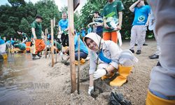 Berkomitmen Lestarikan Lingkungan, Weda Bay Project Tanam 1 Juta Mangrove hingga Bangun Sanctuary 