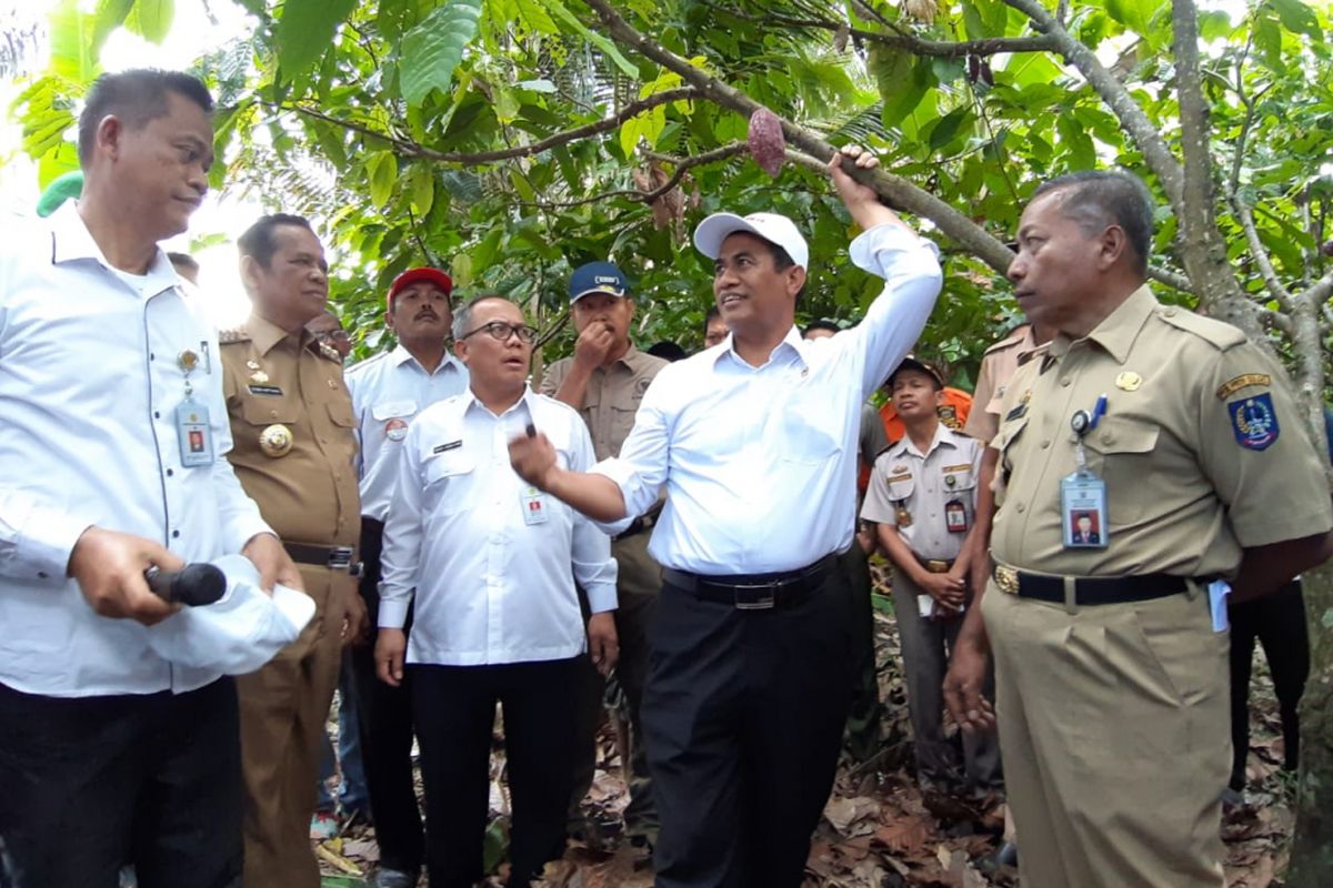 Kunjungan Menteri Pertanian Andi Amran Sulaiman ke Kabupaten Luwu, Sulawesi Selatan, Senin (11/3/2019). 