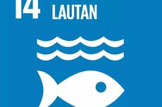 Laporan SDGs 2022: Perlindungan Lautan Masih Hadapi Tantangan Berat