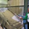 BUMN Ini Siap Serap 300.000 Ton Gabah Petani dengan Harga di Atas HPP