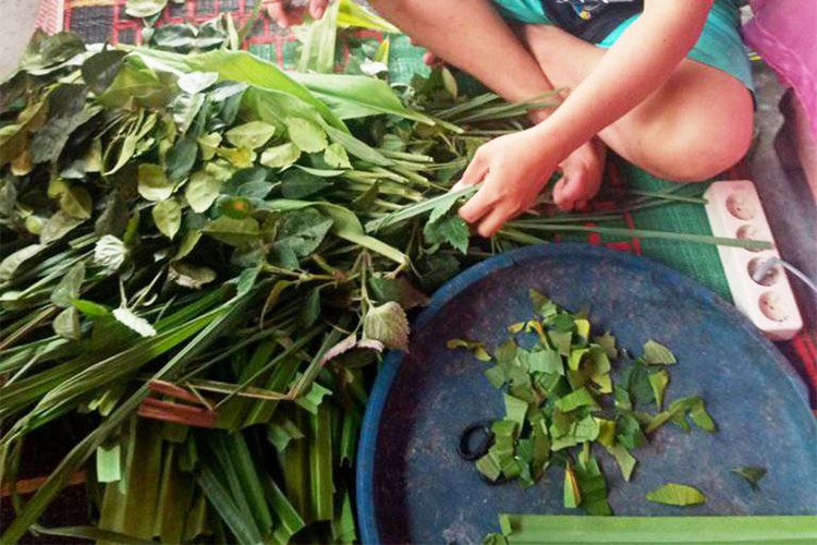 Srimilani Tahir seorang warga Gorontalo menyiapkan ramuan beberapa jenis tanaman untuk dijadikan ramuan Langgilo, yaitu pengharum perlengkapan pakaian atau lainnya yang digunakan untuk beribadah. Kebiasaan ini dilakukan setiap tahun saat menjelang bulan Ramadan.