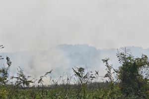Penyebab Kabut Asap di Samarinda dan Dampak Kemarau Panjang