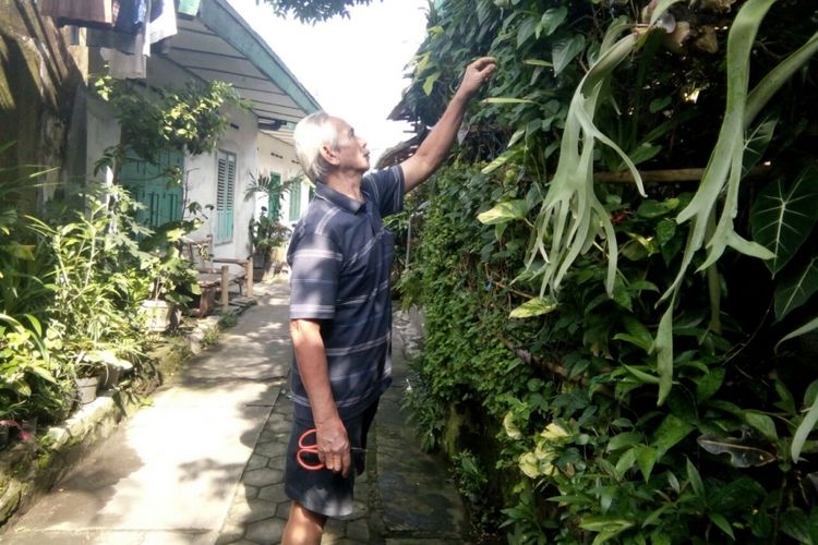 Sri Harjanto (75), warga RT 3/RW 3, Kelurahan Serengan, Kecamatan Serengan, Kota  Solo, Jawa Tengah merawat tanaman obat keluarga yang siap disedekahkan bagi yang membutuhkan. 