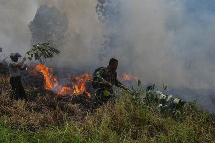 Aksi petugas dalam memadamkan api saat karhutla melanda Riau. 