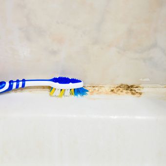 Ilustrasi membersihkan jamur di kamar mandi dengan sikat gigi bekas. 