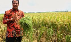 Ekspor Produk Pertanian ke Jepang dan Sejumlah Negara Eropa Meningkat