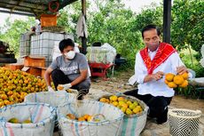 Datangi Kampung Jeruk Karo, Jokowi Disambut Lagu 