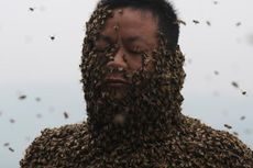 Demi Promosi, Tubuh Pria China Ini Dikerumuni 460.000 Lebah